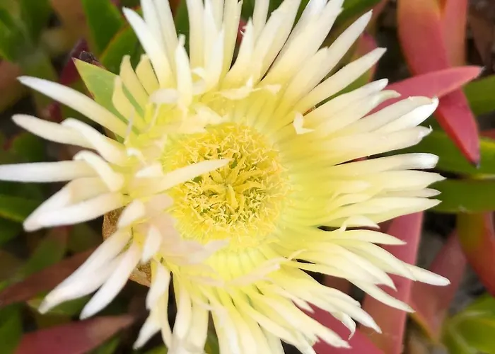 Apartment Costa Nova - Beach-front Gafanha da Encarnacao